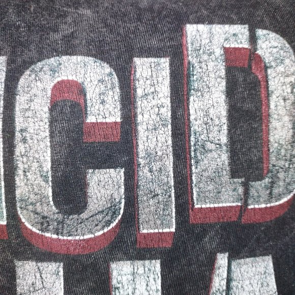 Rag Frog Revival Throw pillow cover Up-cycled from a T-shirt size 12"x12" - Picture 4 of 5